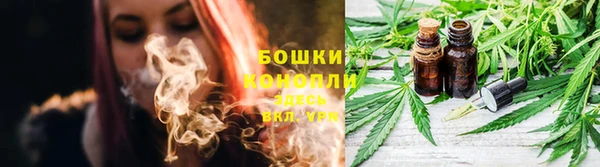 мяу мяу мука Абаза