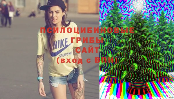 мяу мяу мука Абаза
