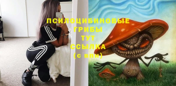 гашик Абдулино