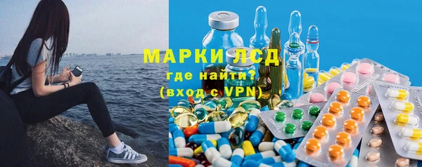 мяу мяу мука Абаза